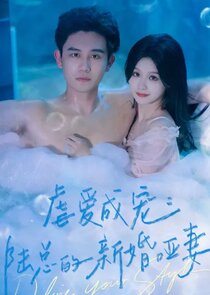 My Beautiful Dumb Wife poster