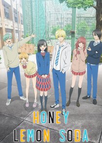 Honey Lemon Soda poster