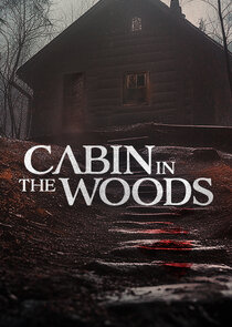 Cabin in the Woods poster