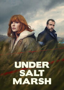 Under Salt Marsh poster