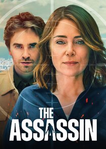The Assassin poster
