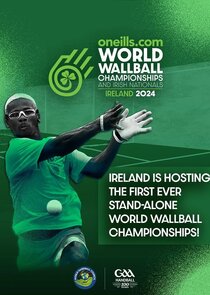 World Wallball Championships poster