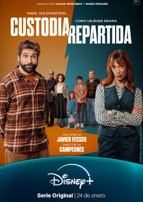 Custodia repartida poster