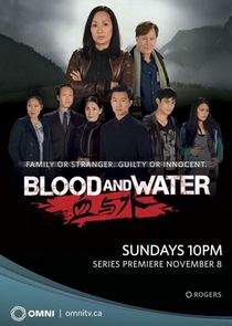Blood and Water poster
