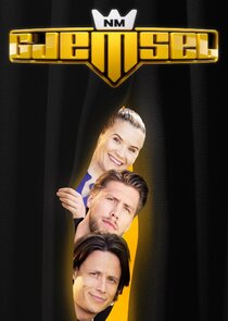 NM i gjemsel poster
