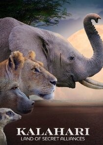 Kalahari: Land of the Secret Alliances poster