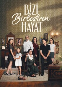 Bizi Birleştiren Hayat poster