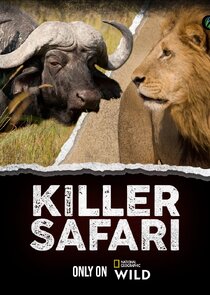 Killer Safari poster