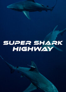 Super Shark Highway poster