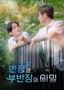 The Secret of Male Students poster