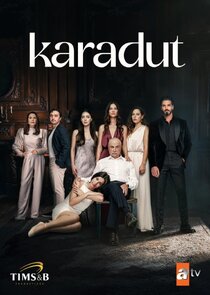 Karadut poster