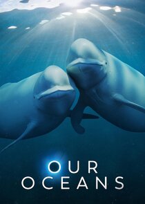 Our Oceans poster