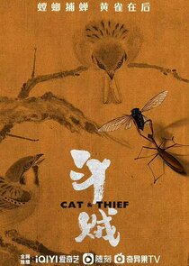 Cat & Thief poster