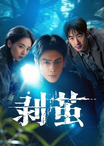 The Truth Within poster