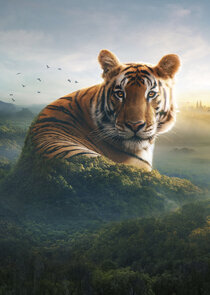 Asia poster