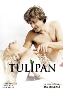 Tulipan poster