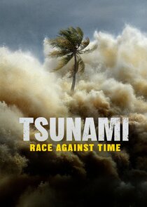 Tsunami: Race Against Time poster