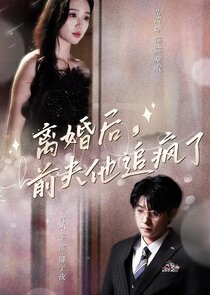 离婚后前夫他追疯了 poster