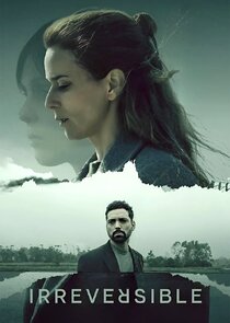 Irreversível poster