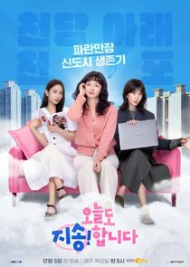 Sorry Not Sorry poster