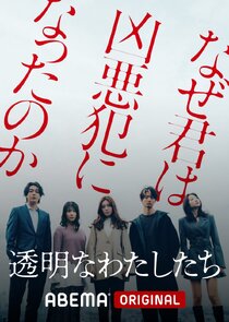 Invisible Us poster