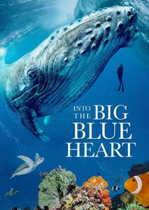 Into the Big Blue Heart poster