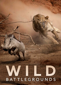 Wild Battlegrounds poster