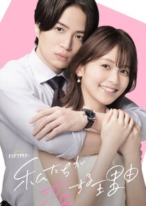 The Reason We Fall in Love poster