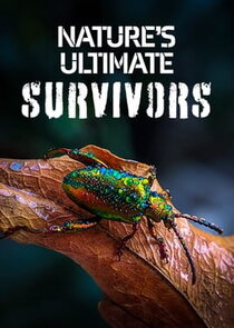 Nature's Ultimate Survivors poster