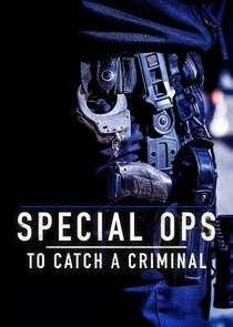 Special Ops: To Catch a Criminal poster