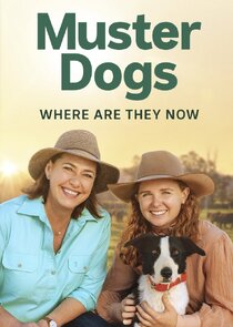 Muster Dogs: Where Are They Now? poster