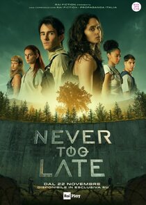 Never Too Late poster