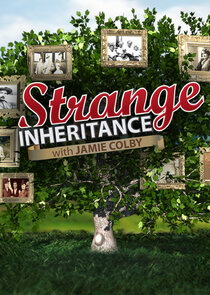 Strange Inheritance poster