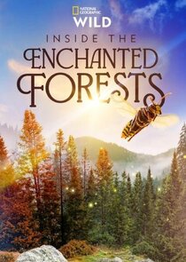 Inside the Enchanted Forests poster