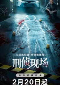 Criminal Scene poster