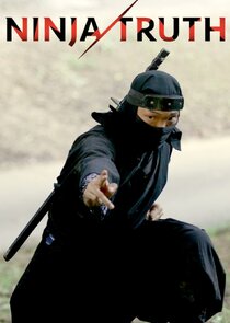 Ninja Truth poster