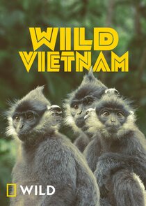 Wild Vietnam poster