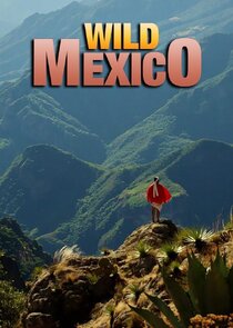Wild Mexico poster
