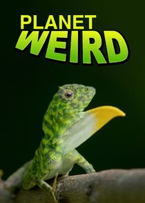 Planet Weird poster