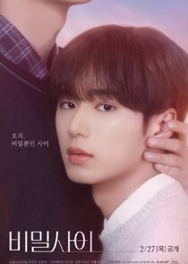 Secret Relationships poster