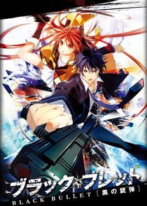 Black Bullet poster