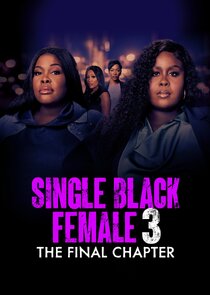 Single Black Female poster