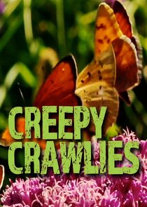 Creepy Crawlies poster