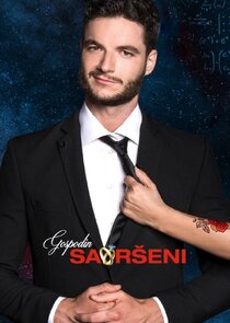 Gospodin Savršeni poster