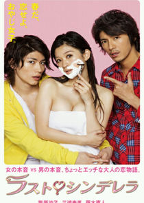Last Cinderella poster