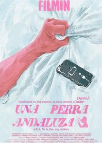 Una perra andaluza poster