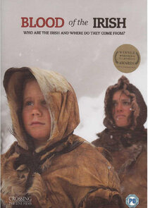Blood of the Irish poster