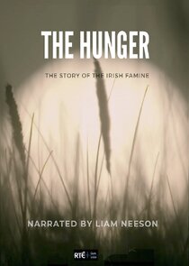 The Hunger: The Story of the Irish Famine poster