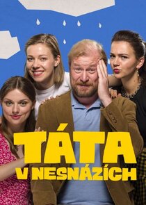 Táta v nesnázích poster