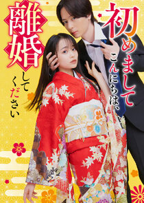 Hello, Nice to Meet You. Could You Please Divorce Me? poster